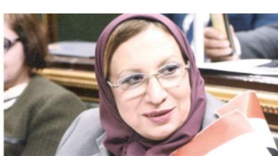 نائبة تطالب الحكومة بتفعيل قانون السايس بالمحافظات