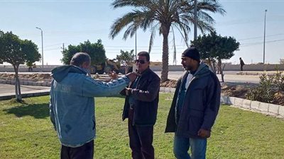 زراعة ٩ ألاف و ٩٧٥ فدانا من القمح بالقنطرة شرق الإسماعيلية