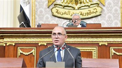 بتكلفة 2 مليار جنيه.. وزير الري: برنامج حماية الشواطئ أنقذنا من كارثة