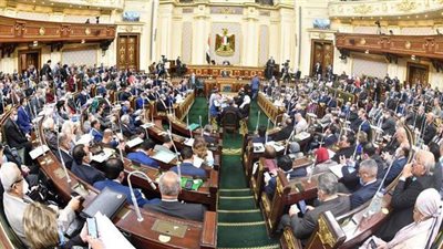 أبوالعينين: نحتاج خطة جديدة للتحاور مع المجتمع الدولي في قضية سد النهضة