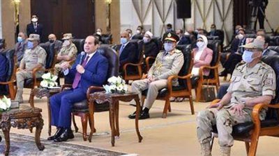 السيسي يكلف الجيش بالمشاركة في تطوير القرى