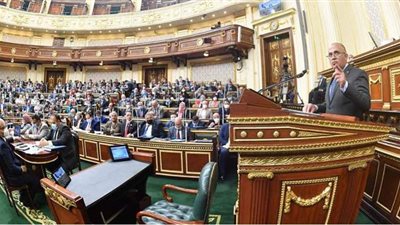 وزير الري يكشف الموقف من رفع الغرامات ضد مخالفي زراعة الأرز