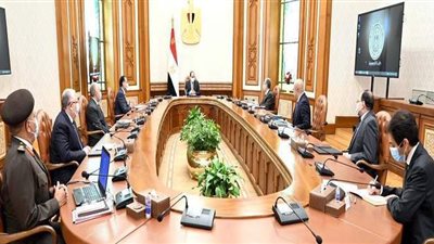 السيسي يكلف بتنفيذ مشروع تطوير قرى الريف المصري في إطار شامل ومتكامل