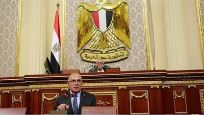 إحالة بيان وزير الري للجان المختصة بمجلس النواب للدراسة