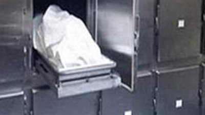 تفاصيل مصرع طالب سقط من أعلى جرار زراعي في الدقهلية