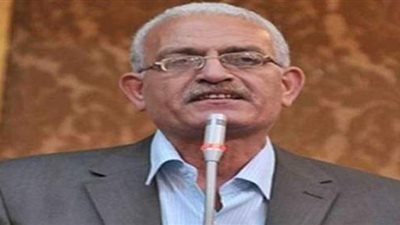 نائب: صدور قانون الإدارة المحلية يُسهم في تحديد موعد انتخابات المحليات