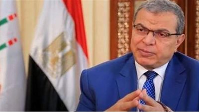 القوى العاملة: تعيين 73 شابا والتفتيش على 134 منشأة بشمال سيناء