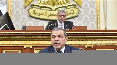 وزير القوى العاملة: تحصيل مليار و53 مليونا مستحقات متنازع عليها للمصريين بالخارج