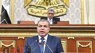 بالأرقام.. محمد سعفان يكشف جهود مساندة العمالة غير المنتظمة