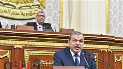 وزير القوى العاملة: تسوية 677 شكوى جماعية من إجمالي 800