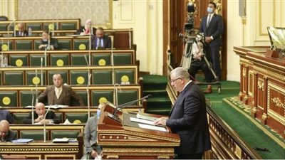 رئيس برلمانية النور يستشهد برواية للكندي 