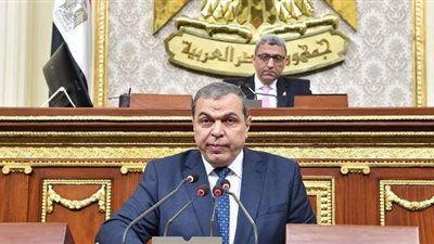 وزير القوى العاملة: 175 مليون جنيه إيراد تراخيص عمل الأجانب في 2020