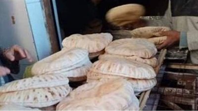 ضبط طن أسمدة وإحالة 126 محضرا بالمخالفات للنيابة في القليوبية