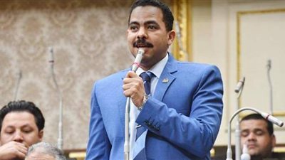 أشرف رشاد يطالب بلوبي مصري في الخارج لعرض إنجازات الدولة