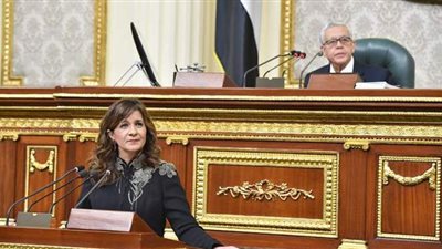 نائب يطالب بقرار وزاري لنقل جثامين المصريين بالخارج دون استثناء