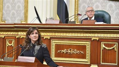 رفع جلسة البرلمان.. والاستماع لوزيري الخارجية والطيران المدني غدا