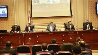 رشوان للنواب: عدم الرد على المزاعم الخارجية يجعل منها حقائق