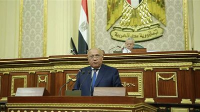 وزير الخارجية: مصر لم تبتعد عن محيطها العربية رغم اتفاقية السلام مع إسرائيل