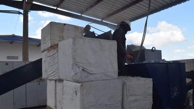 إعدام 9 أطنان من مخدر التامول في الإسكندرية