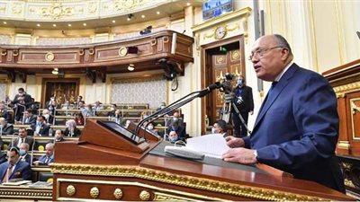 وزير الخارجية: تطور ملحوظ في العلاقات مع روسيا