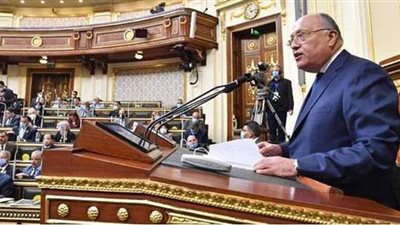 وزير الخارجية أمام البرلمان: لن نقبل بوقوع نهر النيل رهينة لمن يريد فرض هيمنته.. ومصر لم تبتعد يوماً عن محيطها العربي