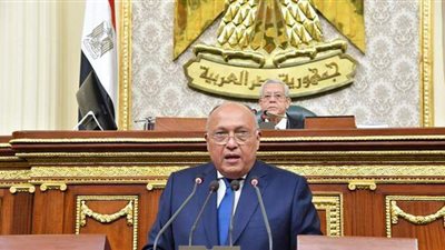 نائب دمياط: 5 مراكب محتجزة في أرتريا بسبب القرصنة.. وعلى الدول التحرك