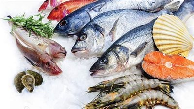5 معلومات عن الثروة السمكية.. أبرزها 13 طنا تدخل الإنتاج والبلطى يتصدر