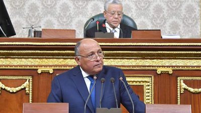 توضيح مهم من وزير الخارجية عن العلاقات مع قطر