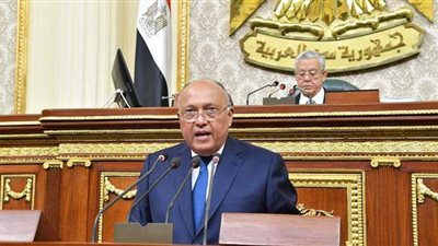 وزير الخارجية يوجه رسالة لإثيوبيا من مجلس النواب