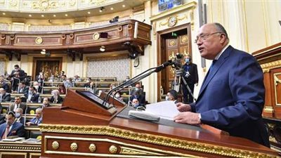 بعد تصعيد شكري ضد إثيوبيا.. السيناريو المتوقع أن تلجأ إليه مصر لحسم أزمة سد النهضة