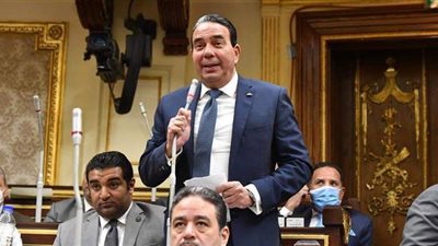 سامح شكري عن طلب أبو العلا بشأن جوازات النواب الدبلوماسية: 