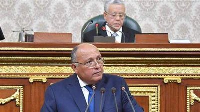 سامح شكرى يكشف الملفات الساخنة أمام البرلمان: نسعى إلى اتفاق مع إثيوبيا يحفظ مصالح الطرفين.. ونتائج قمة العُلا تخضع للاختبار