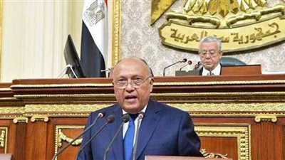 وزير الخارجية يكشف دور مصر فى مواجهة تحديات المنطقة