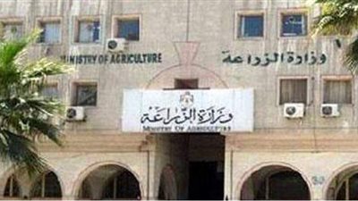 تأديب 3 قيادات بوزارة الزراعة بسبب حافز ختامي الميزانية