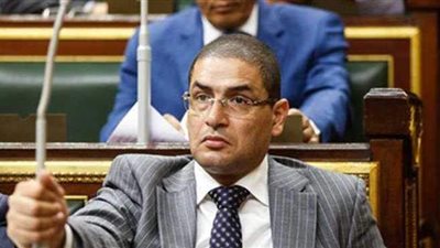 محمد أبو حامد: ألمانيا وثقت ثورة 25 يناير في المناهج الدراسية