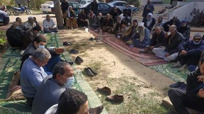 مدير مكافحة الآفات بالإسماعيلية يحذر مزارعي المانجو من رش مبيدات الحشائش