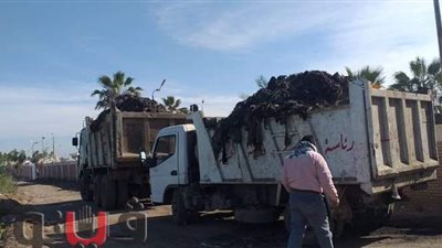 نقل ألف طن قمامة من مدينة الحسينية لنقطة التجميع بالشرقية