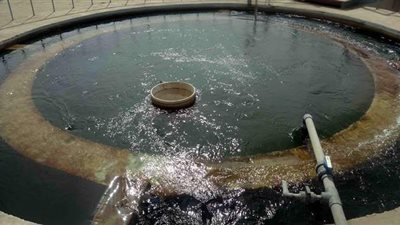 181 قرية بسوهاج تستفيد من المبادرة الرئاسية فى مياه الشرب