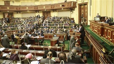 إيناس عبد الدايم تكشف من البرلمان خريطة الخدمات الثقافية وتكلفتها