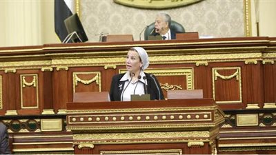 السجيني يوجه انتقادا للوزراء.. تعرف على السبب