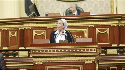 نائبة عن الوضع في القاهرة: قنبلة بيئية