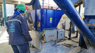 إعدام 9 أطنان من مخدر التامول بالإسكندرية