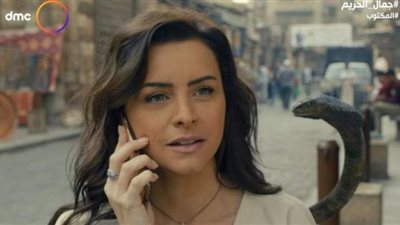 مسلسل جمال الحريم الحلقة 17.. التفاصيل الكاملة