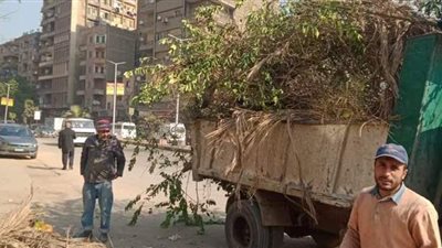 رفع مخلفات الأشجار بسور السكة الحديد في الجيزة |صور