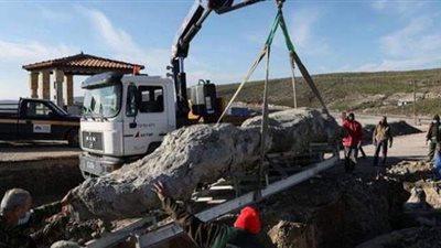 برغم مرور 20 مليون عام .. العثور على شجرة نادرة فروعها وجذورها سليمة