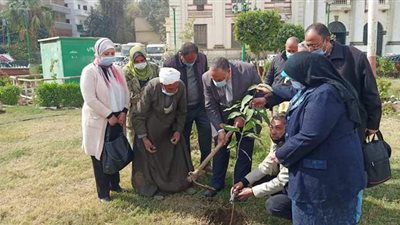احتفالاً بيوم البيئة.. تشجير وغرز شتلات مثمرة بشوارع وميادين أسيوط |صور