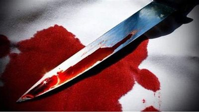 الاستماع لشهود مقتل فرارجي بسبب الخلاف على عدد أقفاص الفراخ بالعمرانية