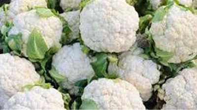 طريقة تخزين القرنبيط