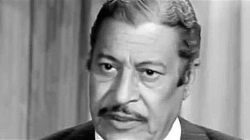 الفنان عماد حمدى