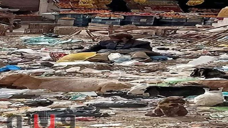 مأساة مشرد يعيش وسط